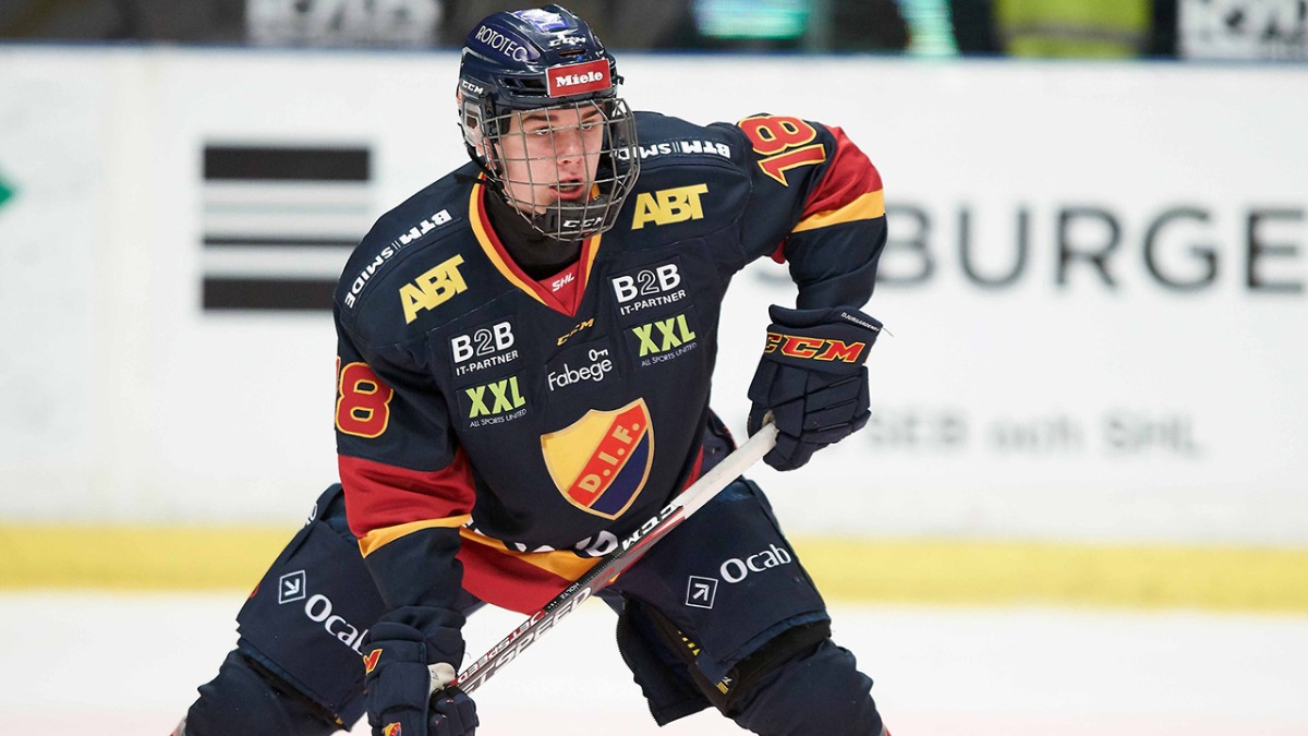 Image for card with title NIU/hockey 