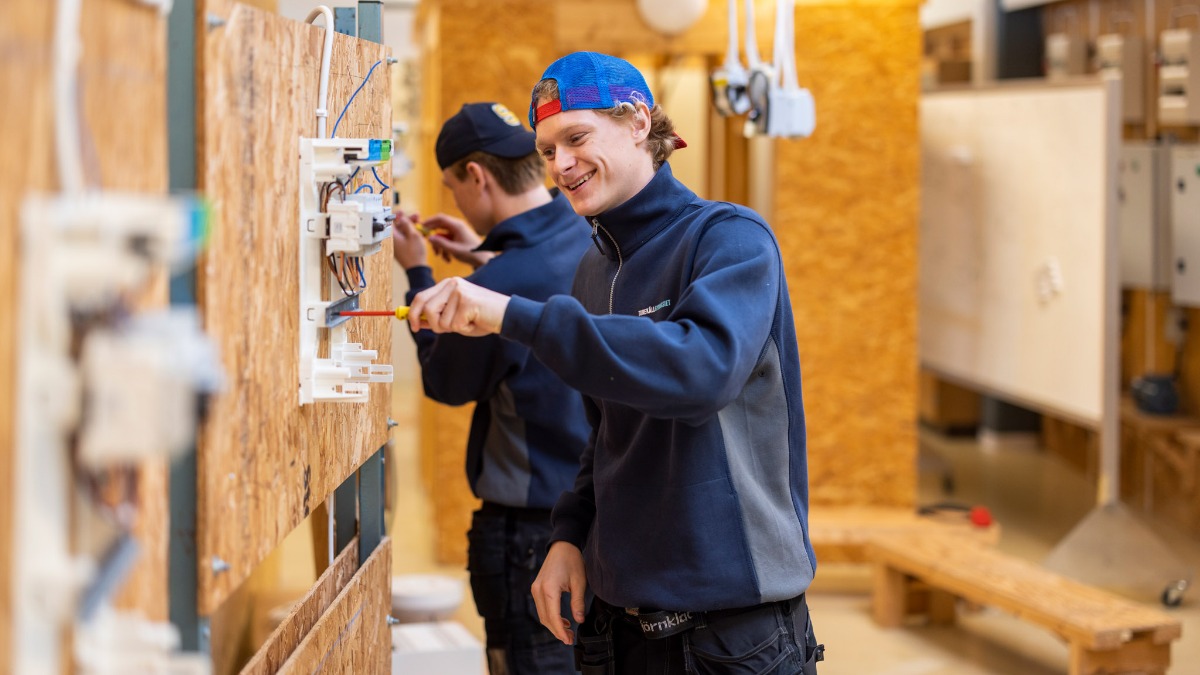 Image for card with title El- & energiprogrammet