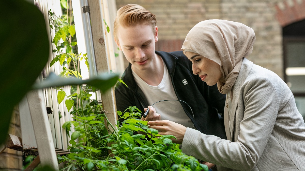 Image for card with title Naturvetenskap