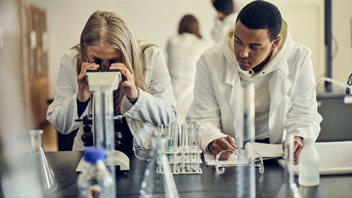 Image for card with title Medicin