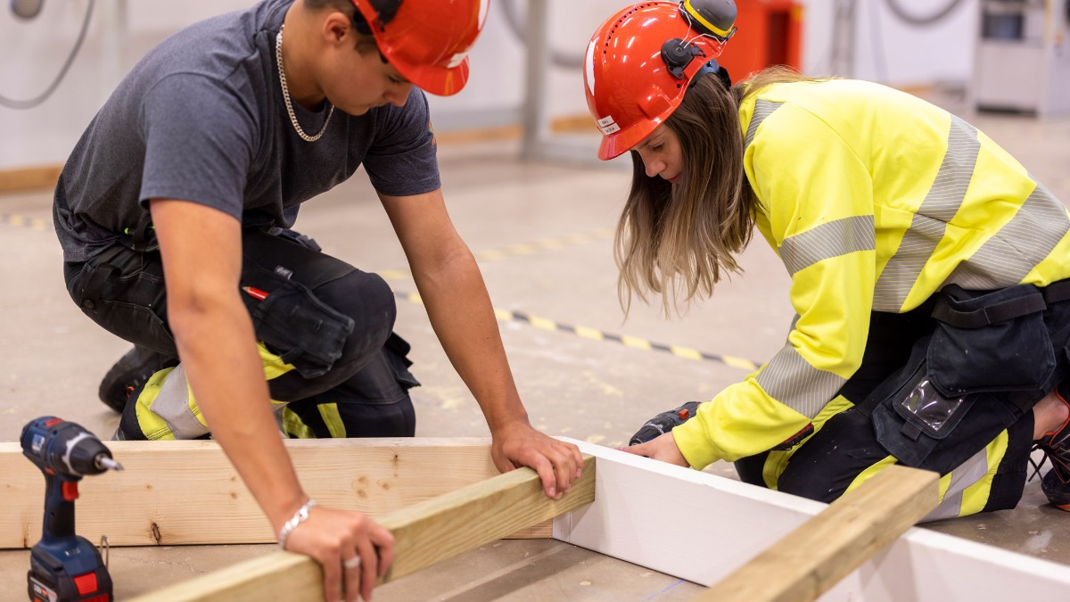 Image for card with title Bygg- och anläggningsprogrammet