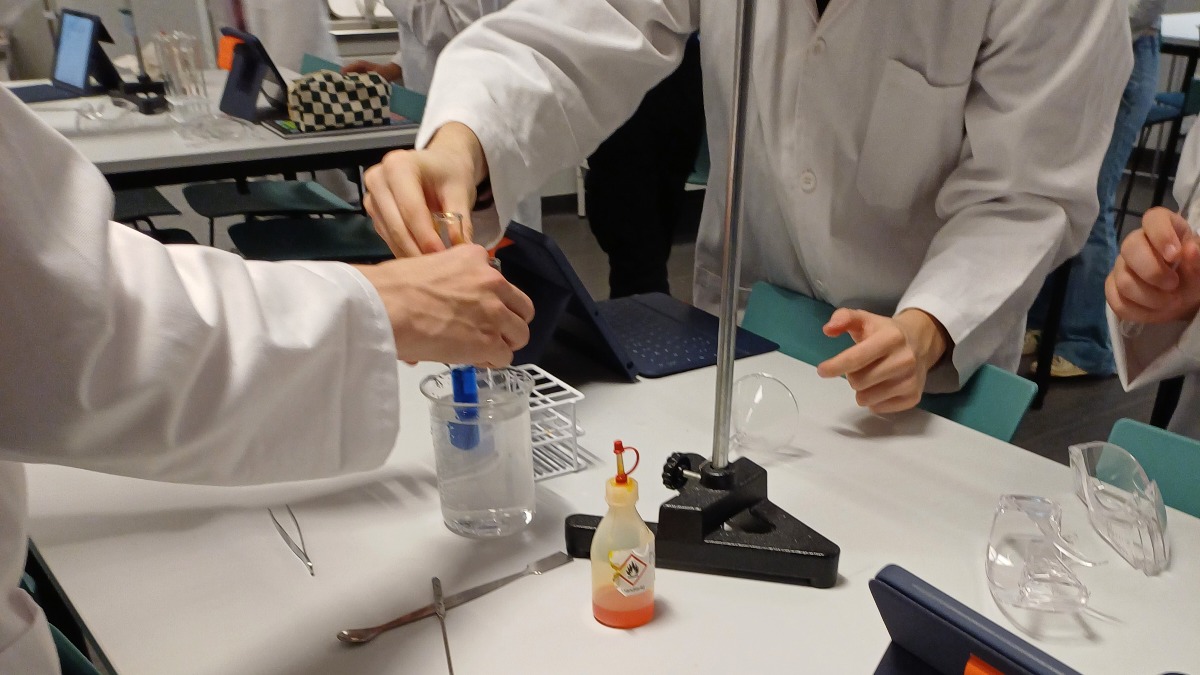 Image for card with title Naturvetenskapsprogrammet