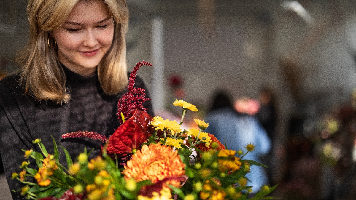 Image for card with title Våra program