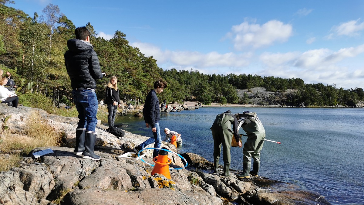 Image for card with title Natur, Natur