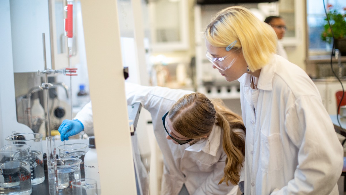 Image for card with title Naturvetenskapsprogrammet